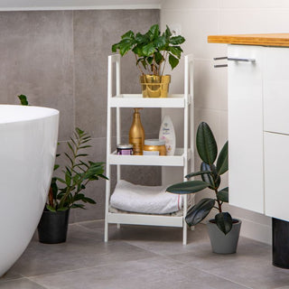 Modern Ladder Shelf | Storage Unit | Stylish Display Stand |