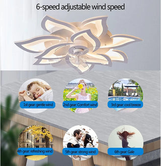 Nason - Modern Remote Light Ceiling Fan 5 Blade