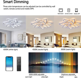 Nason - Modern Remote Light Ceiling Fan 5 Blade