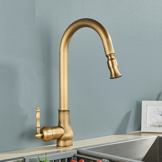 Denae - Brass Single Hole Single Lever Pull Out Kitchen Tap