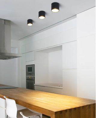 Pherson - Waterproof IP65 Flush Mount LED Outdoor Ceiling Downlight