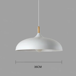 Jana - Nordic Modern Nordic Round Dish Pendant Ceiling Light