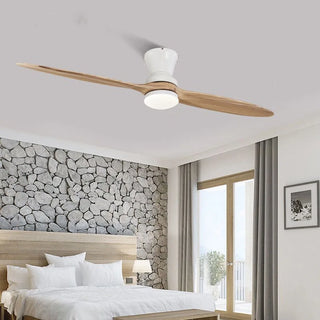 Artyom - 60Inch 2 Blade Modern Ceiling Fan