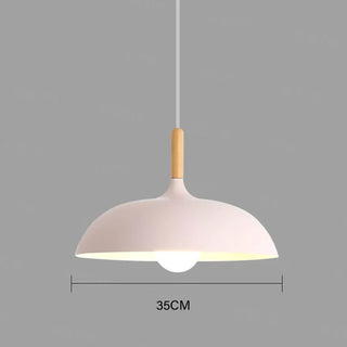 Jana - Nordic Modern Nordic Round Dish Pendant Ceiling Light