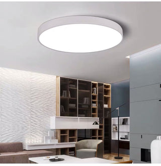 Elorza - Nordic Macaron Ultra Thin Wood Circular  LED Ceiling Lamp Creative Light Fixtures