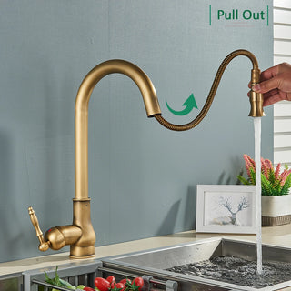Denae - Brass Single Hole Single Lever Pull Out Kitchen Tap