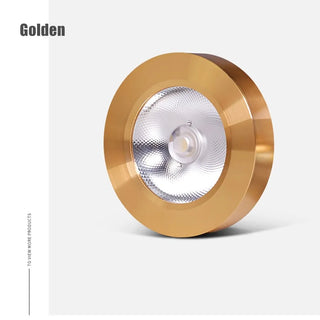 Bishan - Modern Ceiling Spotlight LED Downlight Ultra Thin