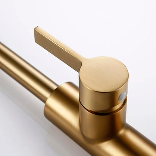 Dotty - Modern Gold Brass Swivel Single Handle Kitchen Mixer Tap