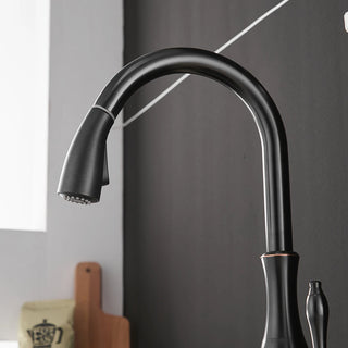 Delpha - Kitchen Single Handle Pull Out Swivel Mixer Tap