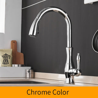 Delpha - Kitchen Single Handle Pull Out Swivel Mixer Tap