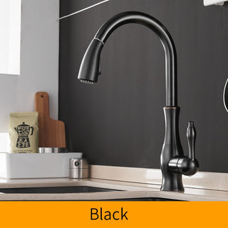 Delpha - Kitchen Single Handle Pull Out Swivel Mixer Tap
