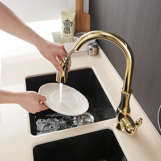 Delpha - Kitchen Single Handle Pull Out Swivel Mixer Tap