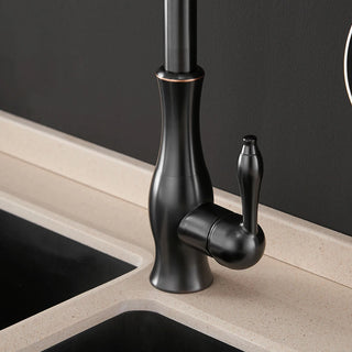 Delpha - Kitchen Single Handle Pull Out Swivel Mixer Tap