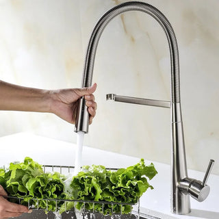 Ailene - Swivel Spring Pull Down Sprayer Kitchen Mixer Tap