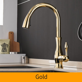 Delpha - Kitchen Single Handle Pull Out Swivel Mixer Tap