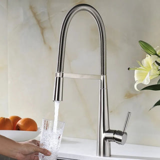 Ailene - Swivel Spring Pull Down Sprayer Kitchen Mixer Tap