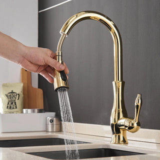 Delpha - Kitchen Single Handle Pull Out Swivel Mixer Tap