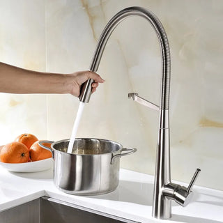 Ailene - Swivel Spring Pull Down Sprayer Kitchen Mixer Tap