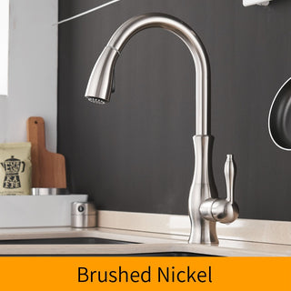 Delpha - Kitchen Single Handle Pull Out Swivel Mixer Tap