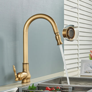 Denae - Brass Single Hole Single Lever Pull Out Kitchen Tap