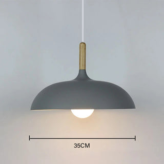 Jana - Nordic Modern Nordic Round Dish Pendant Ceiling Light