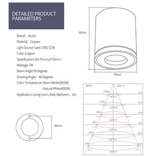 Selegie - Copper Flush Mount Downlight LED Ceiling Light
