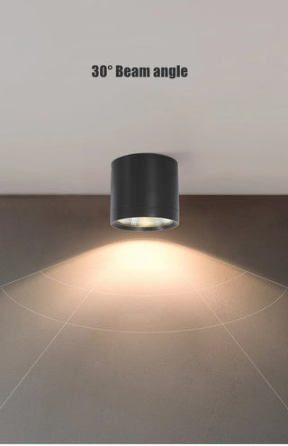 Pherson - Waterproof IP65 Flush Mount LED Outdoor Ceiling Downlight