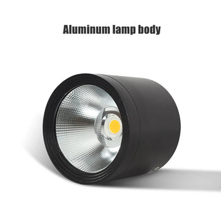 Pherson - Waterproof IP65 Flush Mount LED Outdoor Ceiling Downlight