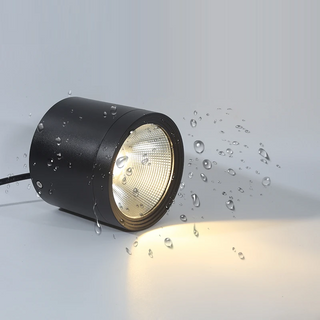 Pherson - Waterproof IP65 Flush Mount LED Outdoor Ceiling Downlight