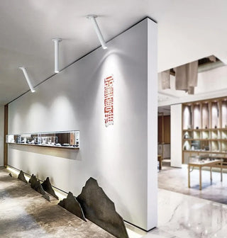 Bugis - LED Long Tube Recessed Rotatable Spot Light Downlight