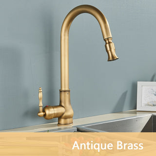 Denae - Brass Single Hole Single Lever Pull Out Kitchen Tap