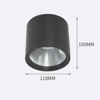 Pherson - Waterproof IP65 Flush Mount LED Outdoor Ceiling Downlight