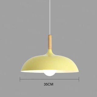 Jana - Nordic Modern Nordic Round Dish Pendant Ceiling Light
