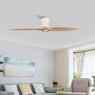 Artyom - 60Inch 2 Blade Modern Ceiling Fan