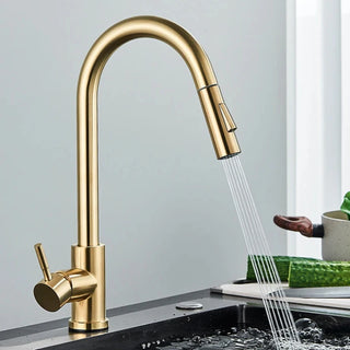 Teresia - Kitchen Brushed Gold Pull Out Modern Single Handle Mixer Tap