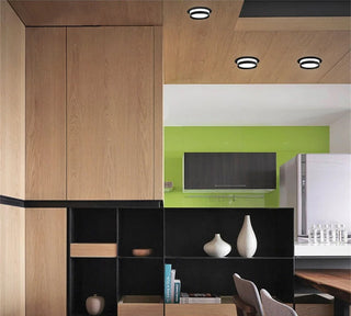 Pandan - Modern Stereo Recessed Ceiling Downlight