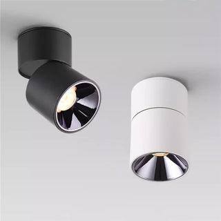 Elab - Modern Surface Mounted Dimmable LED Ceiling Downlight