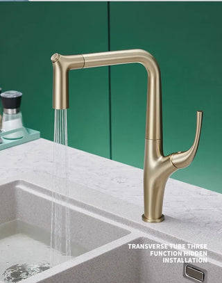 Gilles - Pull Out Modern Water Filter Crane Single Handle Mixer Kitchen Tap