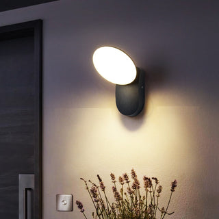 Theodore - Modern Smart LED Outdoor Wall Light