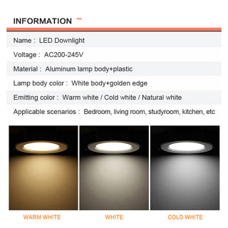 Dover - Modern Round White/Gold Ceiling Spotlight Downlight