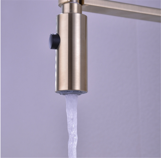 Eufemia - Brushed Gold Pull Out Hot & Cold Single Handle Mixer Kitchen Tap