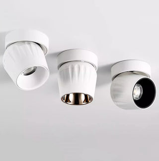 Leonie - Modern Adjustable Dimmable Flush Mount Ceiling Spotlight