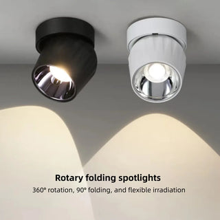 Leonie 2 - Modern Adjustable Dimmable Flush Mount Ceiling Spotlight