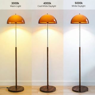 Caldren - Dark Brown Acrylic E27 Floor Lamp