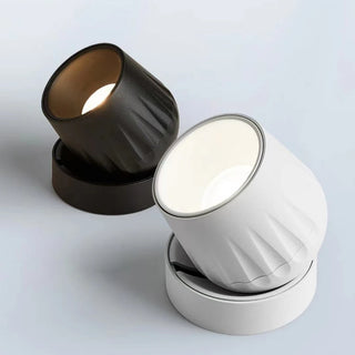 Leonie 2 - Modern Adjustable Dimmable Flush Mount Ceiling Spotlight