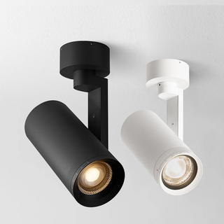 Carora - Minimalistic Adjustable Cylindrical Flush-Mount Downlight Ceiling Light