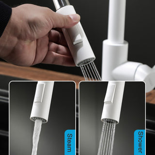 Teresia - Kitchen Brushed Gold Pull Out Modern Single Handle Mixer Tap