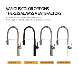 Eufemia - Brushed Gold Pull Out Hot & Cold Single Handle Mixer Kitchen Tap