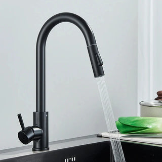 Teresia - Kitchen Brushed Gold Pull Out Modern Single Handle Mixer Tap