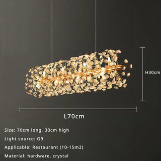 Orhan - Glass Dandelion Gold Frame Round Clear Crystal Ceiling Light Chandelier